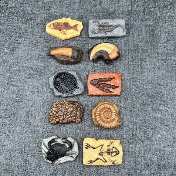 Dinosaur Fossils Safari Ltd Ancient TOOB w/ 10 Educational Figurines for Kids - Picture 5 of 12